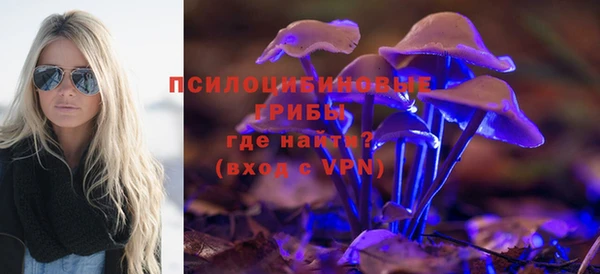 кокаин Богданович