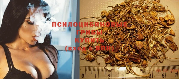 кокаин Богданович