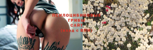 2c-b Богородицк